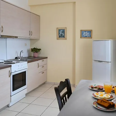 Selana View Apartment Karavostasi  Exterior photo